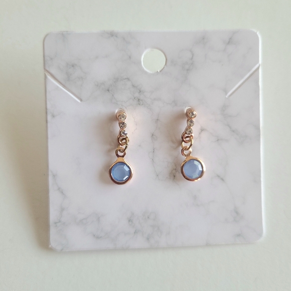 Rose Gold Blue Beaded Earrings Set - Picture 5 of 7